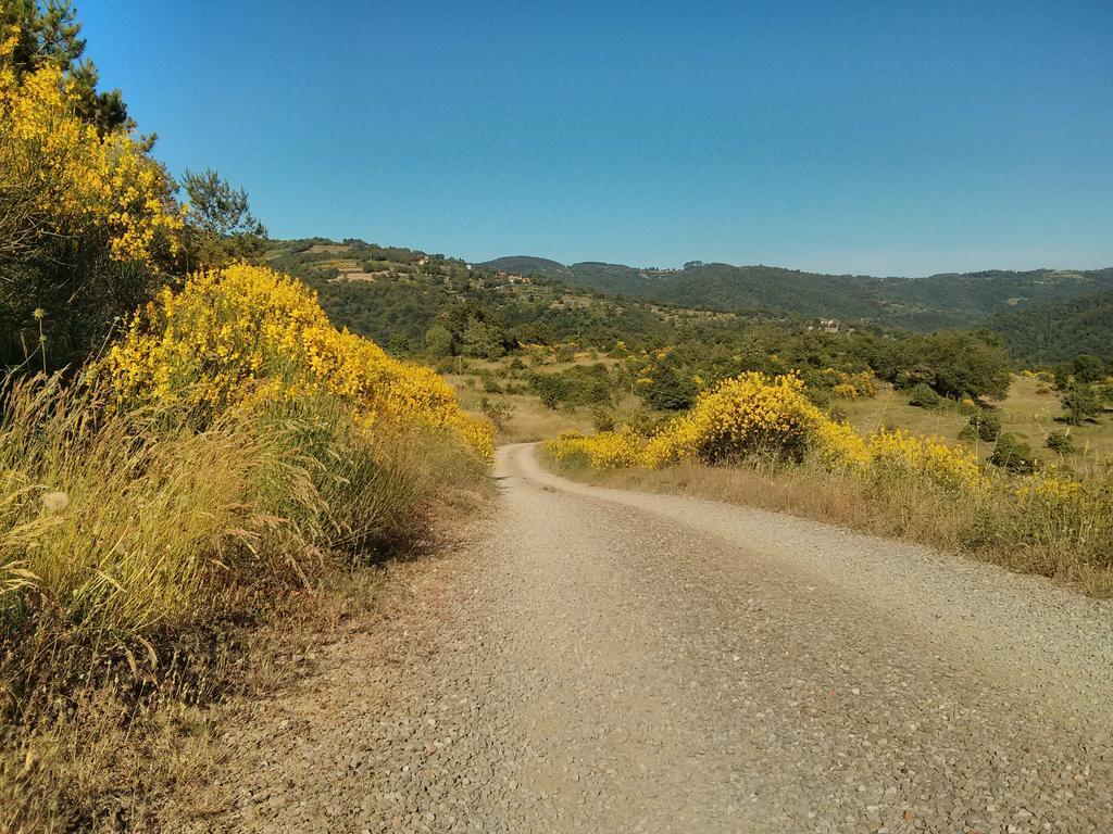 Forte Di Tregognano Chiaveretto Rum bild