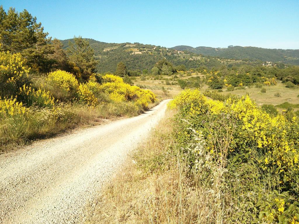 Forte Di Tregognano Chiaveretto Rum bild